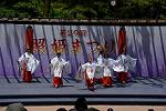 Dcim12281/DSC_1019