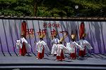 Dcim12281/DSC_1028