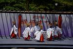 Dcim12281/DSC_1033