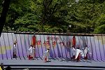 Dcim12281/DSC_1041