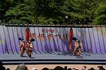 Dcim12281/DSC_1050