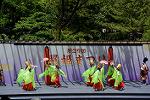 Dcim12281/DSC_1065