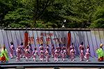 Dcim12281/DSC_1082