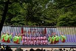 Dcim12281/DSC_1101