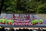 Dcim12282/DSC_1105