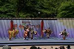 Dcim12282/DSC_1125