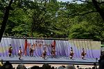Dcim12282/DSC_1139