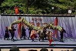 Dcim12282/DSC_1158