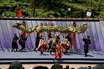 Dcim12282/DSC_1160