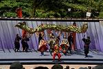 Dcim12282/DSC_1161