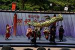Dcim12282/DSC_1169