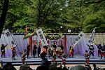 Dcim12282/DSC_1181