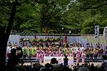 Dcim12282/DSC_1196