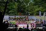 Dcim12282/DSC_1197