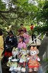 Dcim12283/DSC_1282