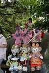 Dcim12283/DSC_1286