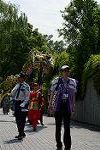 Dcim12284/DSC_1378
