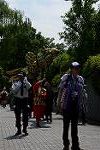 Dcim12284/DSC_1379