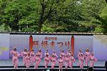 Dcim12288/DSC_1894
