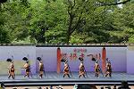 Dcim12288/DSC_1895