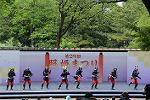 Dcim12288/DSC_1904