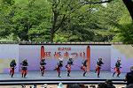 Dcim12288/DSC_1906