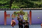Dcim12288/DSC_1931