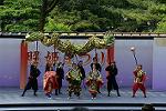 Dcim12288/DSC_1943