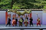 Dcim12288/DSC_1944