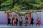 Dcim12288/DSC_1951