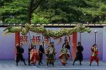 Dcim12288/DSC_1955