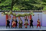 Dcim12288/DSC_1956