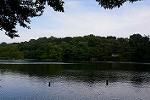 Dcim12289/DSC_2052