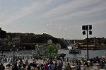 Dcim12290/DSC_2975