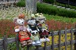 Dcim12291/DSC_2125