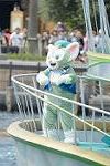 Dcim12293/DSC_2365