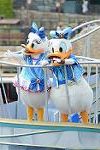 Dcim12293/DSC_2383