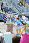 Dcim12293/DSC_2448