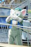 Dcim12294/DSC_2503