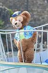 Dcim12294/DSC_2525