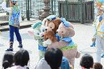 Dcim12294/DSC_2563