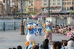 Dcim12295/DSC_2688