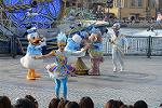 Dcim12295/DSC_2704