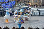 Dcim12295/DSC_2705