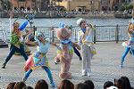 Dcim12295/DSC_2721
