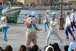 Dcim12295/DSC_2747