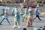 Dcim12296/DSC_2861