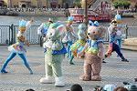 Dcim12296/DSC_2863