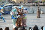 Dcim12296/DSC_2896