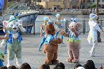 Dcim12296/DSC_2904